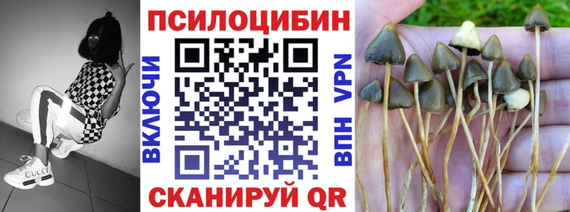 Галлюциногенные грибы мицелий  Минеральные Воды 